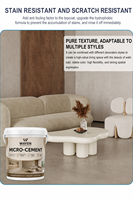 Novice disponible 20kg Microciment mur mastic plus lisse poudre revêtement peinture imperméabilisation Spray blanc ciment mastic poudre revêtement