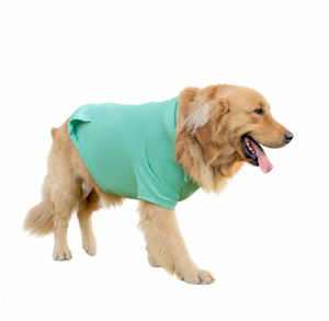 Sudadera para Perro de Algodón Suave, Ropa Transpirable para Perro, Prenda Cómoda para Perro, Ropa Lavable a Máquina para Perro, Suéter Acogedor para Perro - Product Image 5