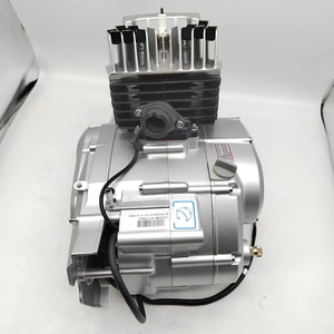 Motor Completo de Alta Calidad <span class=keywords><strong>Lifan</strong></span> <span class=keywords><strong>AX100</strong></span> para Motocicletas con Kit de Cadena, Disco de Embrague, Bobina y Repuestos, Refrigerado por Aire - Product Image 3