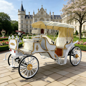 Carruaje de Caballos Retro para Turismo, con Asientos Cómodos, para Visitas Turísticas en Lugares Escénicos - Product Image 1