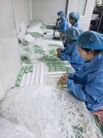 Flacon cosmétique en plastique avec cordon, impression personnalisée, mini-contenant vide pour crème solaire, emballage suspendu pour soins de la peau en extérieur