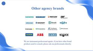 เครื่องส่งสัญญาณแบบหลายตัวแปรรุ่น Rose-mount 3051S พร้อมช่วงการวัดแบบดิฟเฟอเรนเชียลสูงสุด 2000 ปอนด์ต่อตารางนิ้ว และรับประกัน 15 ปี - Product Image 5