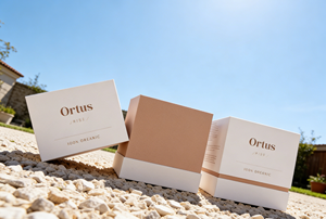 Two-Piece Rigid for Certified Luxury Gift Box Matt Lamination Embossing Sponge Lining-Customizable High-End <b>Packaging</b> Vietnam - Product Image 5