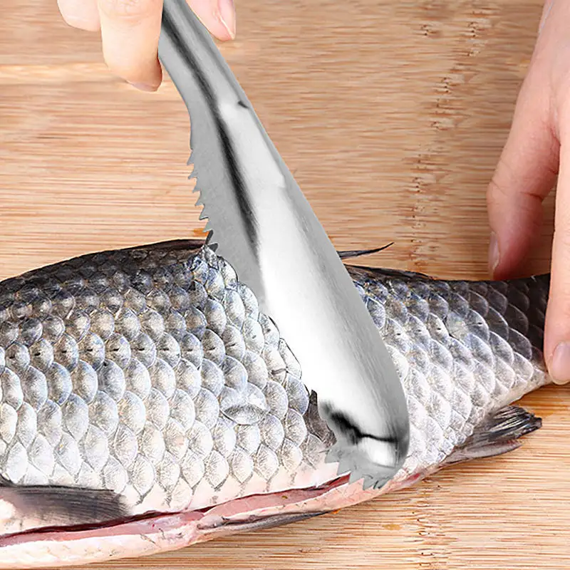 430 נירוסטה הסרה מהירה של עור דגים מברשת קשקשי דגים פומפיה גאדג'טים מגרדים למטבח