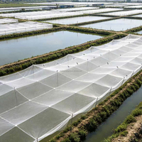 Fabrieksmatig UV-gestabiliseerd landbouwmonofilament anti-vogelnet voor boomgaardbescherming, fruit- en aardbeienkwekerijen