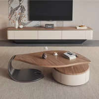 Ensemble de tables basses modernes et luxueuses de style minimaliste en forme de feuille, table basse de salon avec tiroirs, table basse durable