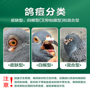 Tratamiento Interno para la Viruela Aviar con Tabletas de Plantas Naturales, Elimina Virus de las Aves, Mantiene la Salud, Seguro para Todas las Etapas de Vida - Product Image 2