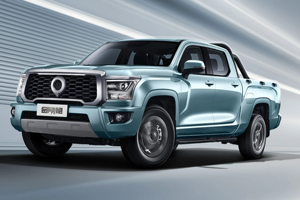 2026 Great Wall Diamond Cannon Pickup 2.0T Manual 2WD Volante a la izquierda Caja estándar Empresarial Vehículo de combustible <span class=keywords><strong>Comprar</strong></span> coche - Product Image 2