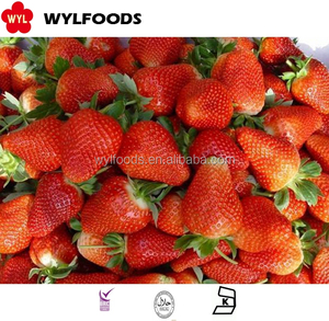 Số Lượng Lớn Đông Lạnh Dâu Tây Lát Đông Lạnh Bán Buôn Đông Lạnh Dâu Tây Giá Mỗi Tấn Cho Chế Biến Thực Phẩm - Product Image 4