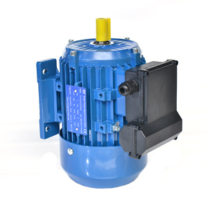 Motor Monofásico de Inducción CA de 0.37kw, 1.5kw, 2.2kw, 3kw, 4kw, 5.5kw, 7.5kw, 1400rpm - Product Image 4