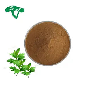 Wormwood Leaf Extract Herb Aiye Folium Artemisiae Argyi Extract Powder Chinese Moringa Leaf Powder Buyers in India UV Betel Leaf