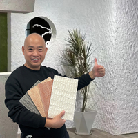 Roman Bluestone Carreaux de pierre flexibles en argile modifiée en travertin de couleur 3D pour murs et plafonds multi-surfaces