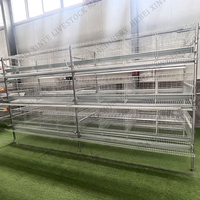 Cage à poulets de type H pour l'élevage de poules pondeuses, cages automatiques pour l'agriculture avicole, cages à batterie pour poulets, poulailler galvanisé, cage à poulets en vente