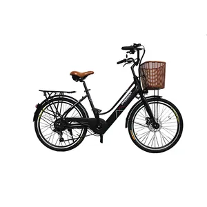EN15194 CE 250w Green Chain Drive Strong Power 28 Inch 700c Hidden Battery City bicycle Adults Style Electric Bicycle Ebike