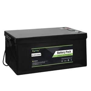 <span class=keywords><strong>Batterie</strong></span> lithium-ion LiFePO4 rechargeable 25,6 V 24 V 100 Ah 120 Ah 150 Ah 200 Ah 300 Ah pour VR/maritime/solaire/voiturette de golf/ASI/<span class=keywords><strong>camping</strong></span>-<span class=keywords><strong>car</strong></span> - Product Image 4