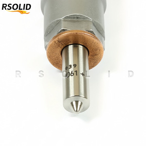 Injecteur de carburant diesel Common Rail Rsoliddiesel 0445110077 pour moteur diesel 4.9 Super Charger, pièces de moteur diesel, injecteur haute pression - Product Image 6