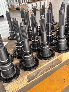 Produttore OEM per Albero di Trasmissione Ingresso 1° Marcia per Camion EURO, Adatto per ZF <span class=keywords><strong>SCANIA</strong></span> <span class=keywords><strong>DAF</strong></span> MERCEDES BENZ 2429075 - Product Image 5