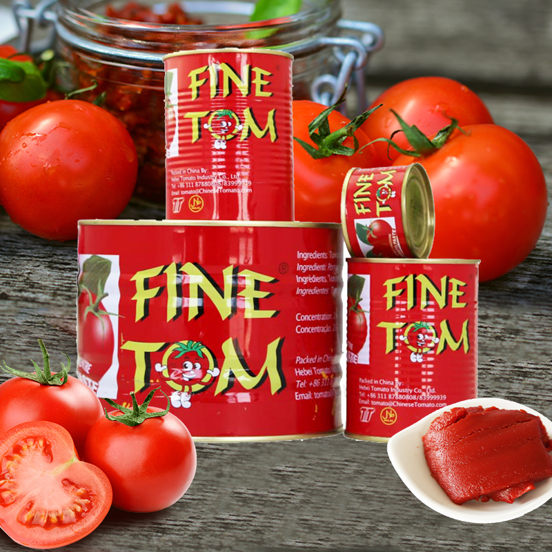 Private Label of Halal Canned 400g with 28-30% Brix Easy Open Full Automatic Tomato Paste Red with 2 Years Shelf Life Sauce