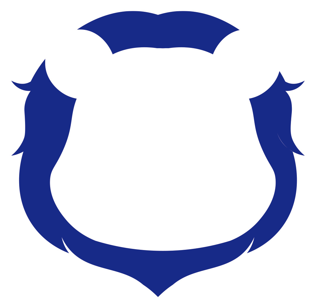 Hangzhou Dream Lion Clothing Technology Co., Ltd. logo