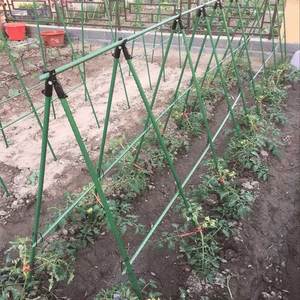 <b>Garden</b> Stake Sturdy Fiberglass Plant <b>Poles</b> to Support Tomatoes, Vegetables and <b>Garden</b> Accessories - Product Image 3