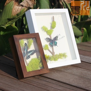 Bán Buôn Tùy Chỉnh 8*8 \ "Đen 3D Sâu Bướm Taxidermy Bằng Gỗ Bóng Hộp Khung Ảnh Chất Lượng Cao Sản Phẩm Cho Cảnh Quan Hoa - Product Image 4