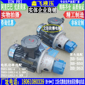 Unidad de Motor a Prueba de Explosiones BB-B40N B50N B63N NJZ, Bomba de Aceite de Engranajes Cicloides Vertical y Horizontal para Bombeo en Campos Petrolíferos - Product Image 1