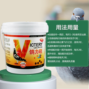 Hot Sale Parrot Birds <strong>Pigeon</strong> Health Performance <strong>Supplement</strong> Vitamin Young <strong>Pigeon</strong> 1200 Pills for Growth Booster - Product Image 5