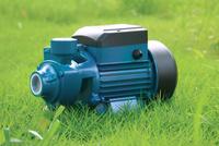 Pompe périphérique à vortex en fonte Forwater QB60 pour usage domestique, jardin et eau potable