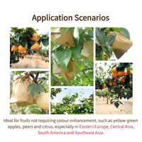 Sac en papier kraft pour fruits, écologique, imperméable, pour la protection des mangues et des raisins, pour la maison, le jardin, les petits vergers, prêt à être expédié