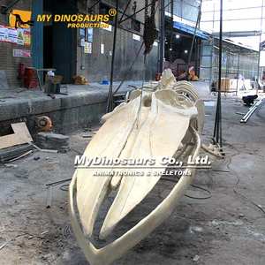 MyDino海洋動物化石モデルクジラスケルトン - Product Image 5