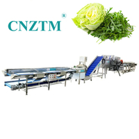 Hoog-efficiënte volautomatische fruit- en groentewas- en droogmachine, groente- en fruitverwerkingslijn