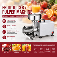 Commerciële fruitpulpmachine, elektrische sapcentrifuge met zuiver koperen motor voor het maken van jam, professioneel voor voedselverwerkingsbedrijven