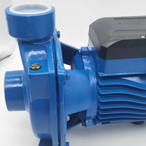 Bomba de Agua Centrífuga Eléctrica Personalizable al por Mayor, Bomba de Agua de Superficie de 48v CC para Riego - Product Image 6