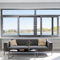 Ventanas Corredizas de Aluminio Modernas con Doble Acristalamiento para Cocina y Sala de Estar - ¡Oferta!