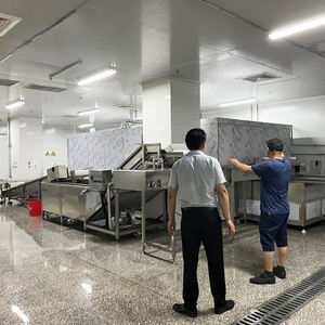 Congelador <span class=keywords><strong>de</strong></span> túnel <span class=keywords><strong>de</strong></span> alta gama, control preciso <span class=keywords><strong>de</strong></span> temperatura, equipo premium para el procesamiento <span class=keywords><strong>de</strong></span> alimentos congelados - Product Image 4