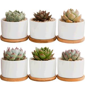 Dropshipping 3 Zoll Weiße Keramik-Sukkulententöpfe mit Bambus-Tablett für Zuhause, Büro, Boden, Garten, Einkaufszentrum, Umweltfreundlich - Product Image 1