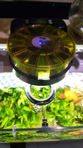 Exportação Novo Alimentador Automático <span class=keywords><strong>Pet</strong></span> Comida Molhada Comida <span class=keywords><strong>Irregular</strong></span> Fornecedor Profissional <span class=keywords><strong>Pet</strong></span> <span class=keywords><strong>Bowl</strong></span> Alimentador Automático Peixe - Product Image 3