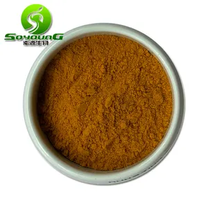 Jaune Brun UV Polysaccharides 10% 50% Triterpène 1% 20% Naturel Organique Ganoderma Lucidum Poudre Reishi Extrait De Champignon