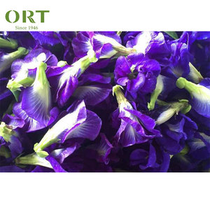 Poudre d'extrait de fleur de papillon <span class=keywords><strong>bleu</strong></span> <span class=keywords><strong>Matcha</strong></span> - Product Image 3