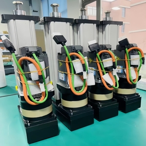 Attuatore Lineare Elettrico Personalizzato, Cilindro Elettrico Servo DC 220V/110V, Garanzia di 1 Anno a Prezzi di Fabbrica - Product Image 2