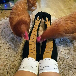 En Stock al por mayor divertido <span class=keywords><strong>pollo</strong></span> pies moda <span class=keywords><strong>calcetines</strong></span> largos mujeres <span class=keywords><strong>calcetines</strong></span> fabricante en China - Product Image 4
