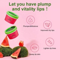 Baume exfoliant végétalien pour les lèvres, marque privée OEM, parfum pastèque, masque éclaircissant, protection solaire, gel fruité waterproof, à base de plantes