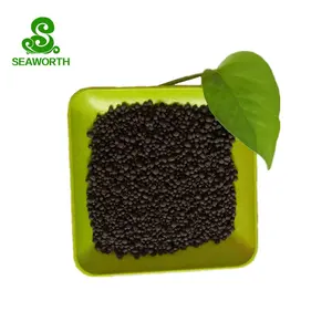 Moderne granule d'acide humique noir sol pour jardin pour le monde