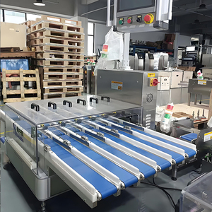 Báscula Digital, Equipo de Pesaje Móvil para Línea de Ensamblaje, Detector de Peso para Clasificación de Productos - Product Image 4