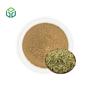 بيع مباشر من المصنع: مسحوق مستخلص بذور الشمر العشبية العضوية المعتمدة بدرجة غذائية، تعبئة في براميل للمكملات الغذائية النباتية - Product Image 1