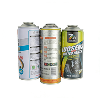 Boîte aérosol personnalisée de 200 ml et 300 ml pour médicaments