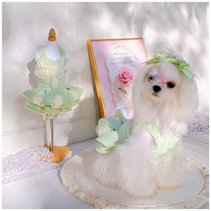 Vestido tutú verde matcha para perros pequeños, estilo princesa con forro polar, letras de perlas y flores, para las cuatro estaciones - Product Image 2
