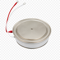 Thyristor à haute tension à contrôle en silicium pour four à induction à moyenne fréquence
