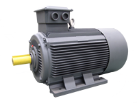 Moteur asynchrone triphasé haute efficacité IE3 YE3-200L2-2P 37KW 380V 67.4A