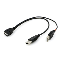 Câble d'extension USB Y de haute qualité, longueur personnalisée, USB 2.0 A femelle vers double USB A mâle